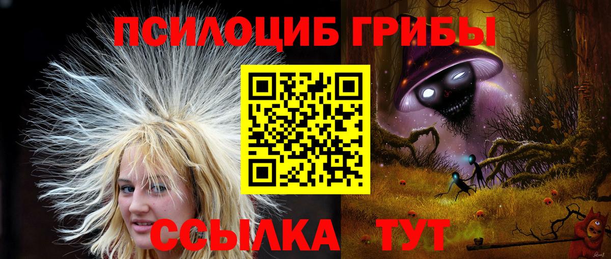 Псилоцибиновые грибы мухоморы  Вход с VPN  Сухой Лог  Псилоцибиновые грибы ЛСД 