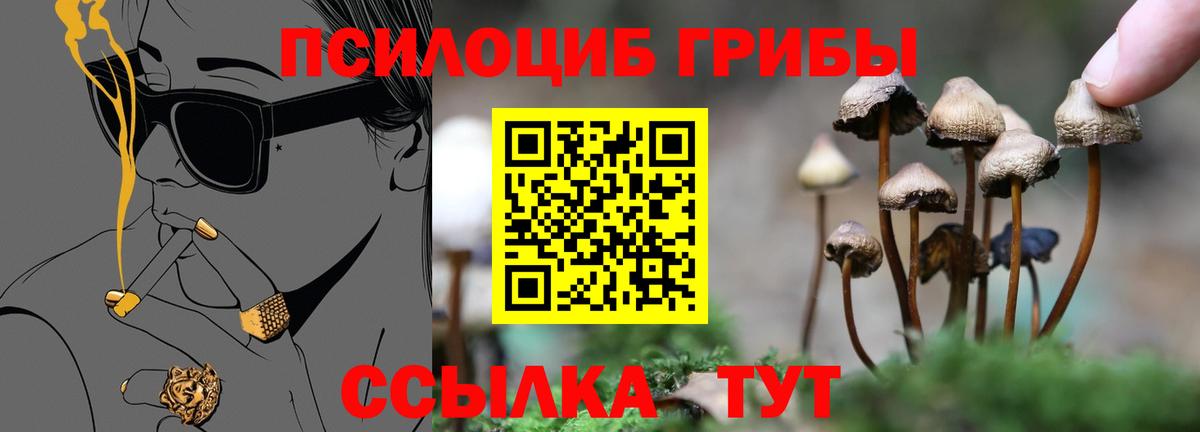 Галлюциногенные грибы ЛСД Сухой Лог